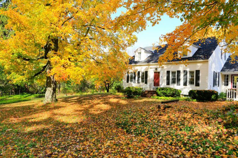 Fall Home Maintenance